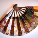Fan by classina